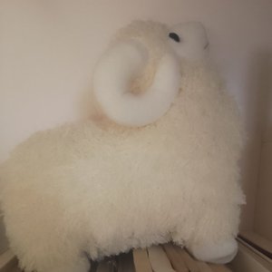 晨露夕阳映雪冬