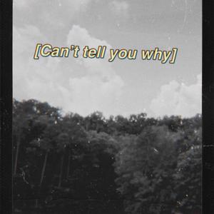 Can't Tell You Why
