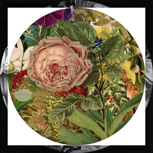 Sonorous (feat. Elision)