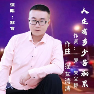 人生有多少苦和累 (DJ默言)