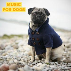 music for dogs, Pt. 99