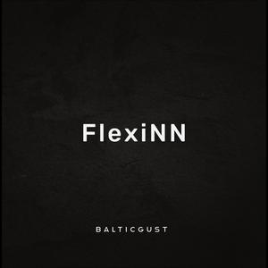 FlexiNN