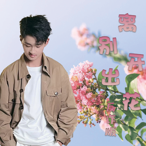 离别开出花(反诈版)