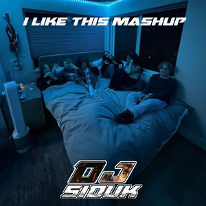 I Like This Mashup (Instrumental)