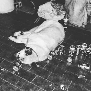 Drunk 'n' Roll