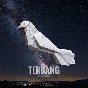Terbang