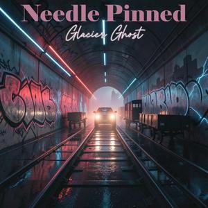 Needle Pinned