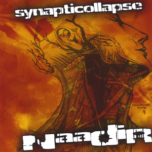 Synapticollapse