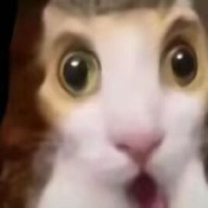 时间赢走一切，只输给想念