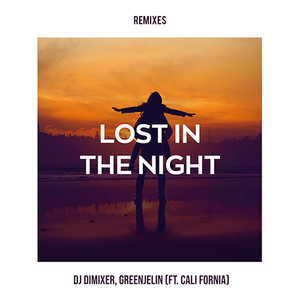 Lost In The Night (Grushevski & Misha ZAM remix)