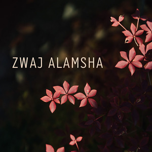 Zwaj Alamsha