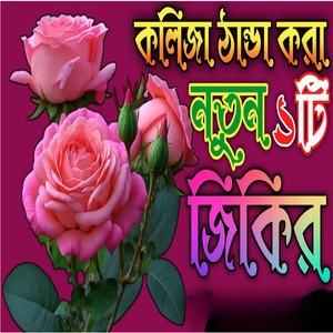 পৃথিবীর সেরা জিকির কবর দেশের যাত্রী তুমি