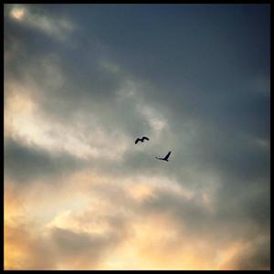 liam (feat. Jorefad130)