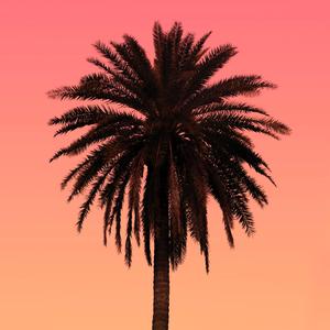 Smooth Freestyle (feat. $tupid Young)