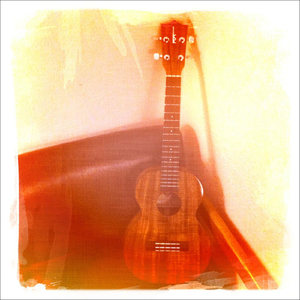 Jimmy Colored Glasses