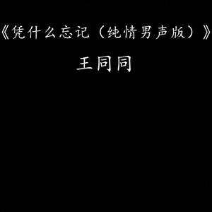 凭什么忘记（纯情男声版）
