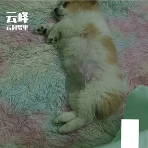 云封梦里 - 断点