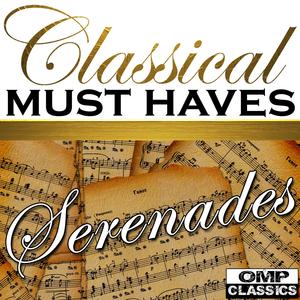 Serenade for String Orchestra, Op. 5: V. Finale