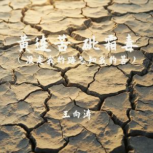 黄连苦 砒霜毒 (没走我的路怎知我的苦)