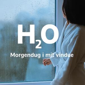 Morgendug i mit vindue