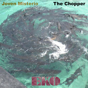 Flying Shadows (Original mix)