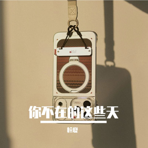 你不在的这些天