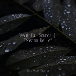 Echoes of the Unseen Trail