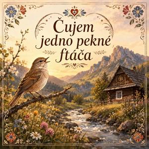 Čujem jedno pekné ftáča (Radio Edit)
