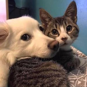 总有一天你会出现在我身边