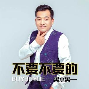 不要不要的 (DJ何鹏 Remix)