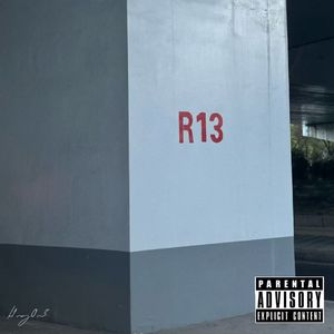 R13