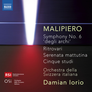 Symphony No. 6, "degli archi" (of the strings):II. Piuttosto lento