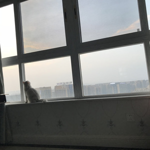 当你