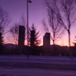 你是人间四月天（原唱：解忧邵帅）（翻自 解忧邵帅）