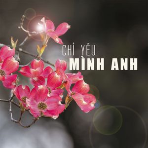 Chỉ Yêu Mình Anh