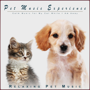 Pet Music
