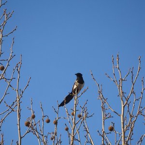 未说出口的心动