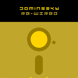 Night Funk (Domineeky Dub)