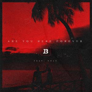 Are You Here Forever (feat. Cole)