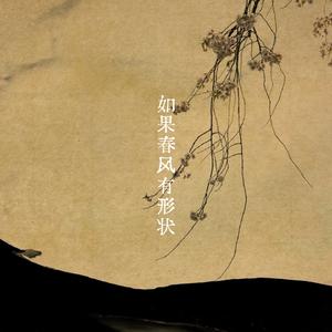 如果春风有形状