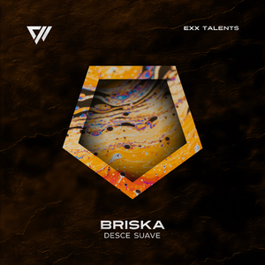 Desce Suave (Radio Edit)