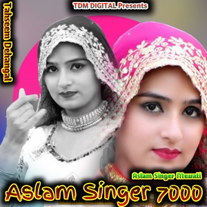 Aslam Singer 7000 (Mewati)