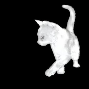 五百二十赫兹（翻自 喜喜）