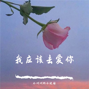 我应该去爱你