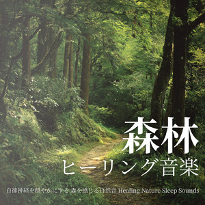 寝る前3分BGM セロトニン増加で睡眠の質を上げる α波 疲労回復・ストレス解消 (3分で眠れる森)