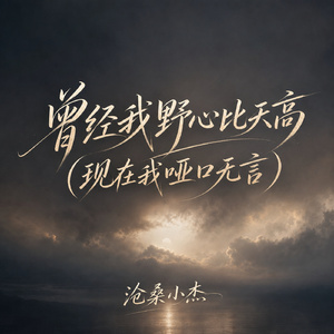 曾经我野心比天高(现在我哑口无言)