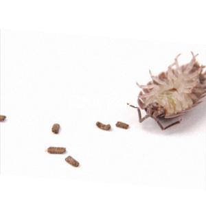 I'll Meet You In Church Sunday Morning