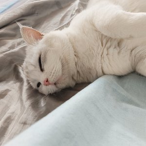 《星光伴我行》