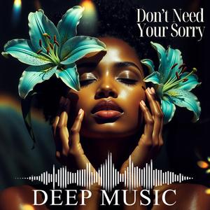 Don't Need Your Sorry