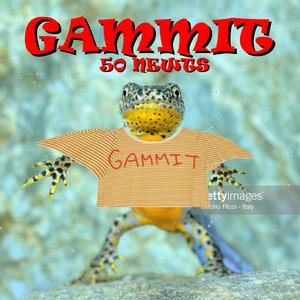 GAMMIT!